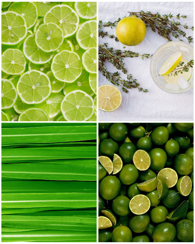 Such A Vibrant Thing - Aromatherapy Oil